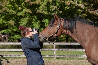 photographer and horse